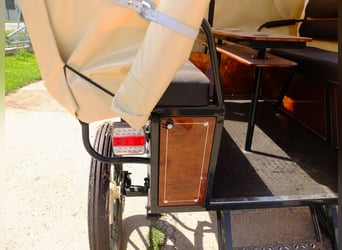 Nuovo carrozza trainata a cavallo