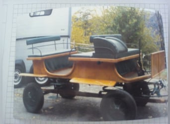 Bellissima carrozza a due posti per pony