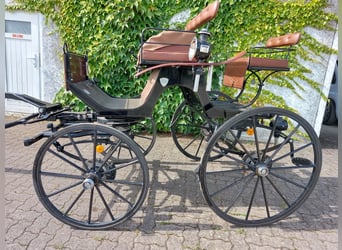 Carrozza da dressage per pony