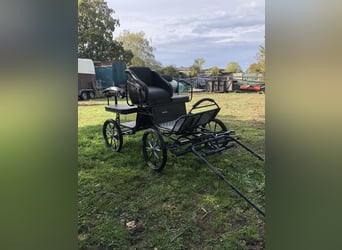 Carrozza da maratona Shetty-Pony