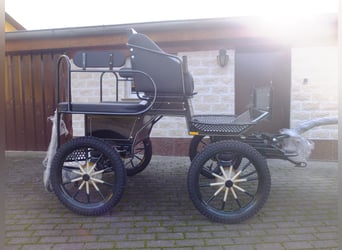 Nuova carrozza per pony e cavalli di piccola taglia
