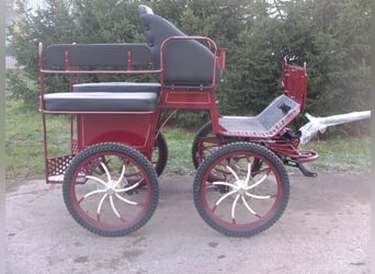 Nuova carrozza per pony e piccole equine