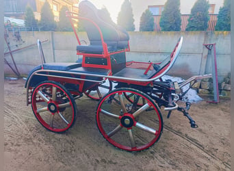 Carrozza da maratona per coppia