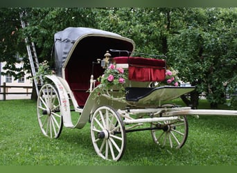 Carrozza da matrimonio elegante, a doppio traino, con tetto removibile, in buone condizioni