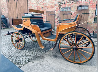 Carrozza da sogno – 6 posti, pelle e velluto