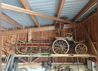 Carrozza e slitta