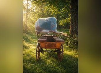 Vecchie carrozze, Wagonette, Carrozza del dottore