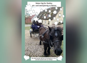 Gig Sulky Kutsche für Shetty 