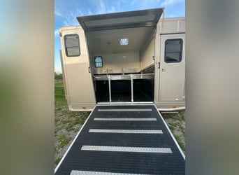 Steinsberger Einbau/Umbau für 3 Ponys