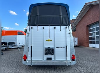 Humbaur Pferdeanhänger Xanthos Aero 2400 2,4t Sattelkammer 100km/h Hecktür Blue Hecktür schwenkbar