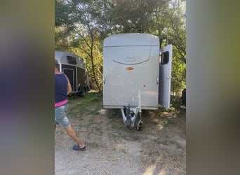 Stall Böckmann Big Portax – Completo di accessori – 2024 – usato pochissimo