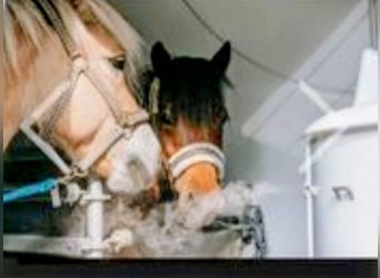 Tampone per inalazioni della ditta Oxygen