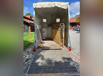 Böckmann Classic rimorchio per cavalli cerca un nuovo proprietario!