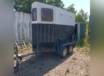 Carrello per il trasporto dei cavalli con patente B disponibile per il noleggio!