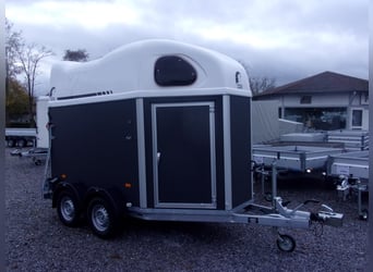 CL Gold First: il miglior rapporto qualità-prezzo tra i cavalli di livello 2 sul mercato!