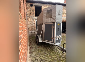 grauer Einzelpferdeanhänger