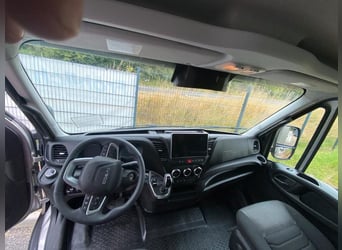 Iveco Trasporto Cavalli 2-3 Cavalli, Veicolo Nuovo