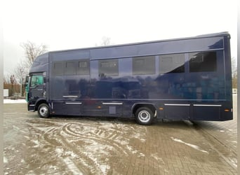 MAN 12.290 TGM, 290 CV, 14,2 t, nuova cabina