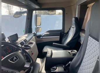 MAN TGM camion per trasporto cavalli, 4-5 posti, 14 tonnellate, anno 2017, 290 CV, usato