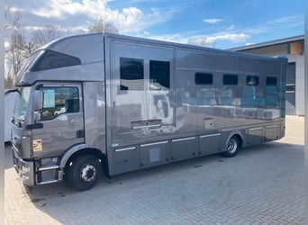 MAN TGM camion per trasporto cavalli, 4-5 posti, 14 tonnellate, anno 2017, 290 CV, usato