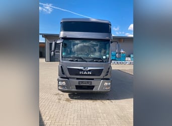 MAN TGM camion per trasporto cavalli, 4-5 posti, 14 tonnellate, anno 2017, 290 CV, usato
