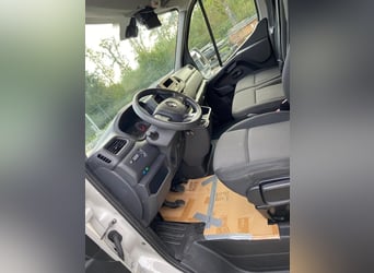 Trasporto cavalli: Renault Master 2024
