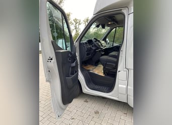 Trasporto cavalli: Renault Master 2024