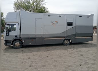 Camion con alloggio per 6 cavalli