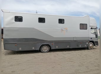 Camion con alloggio per 6 cavalli