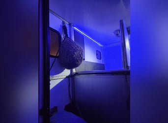 Carrozza per 2 cavalli - Ottimo stato