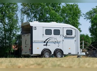 Carrozza per cavalli Liberté Maxi 3 – con selleria e rampa laterale