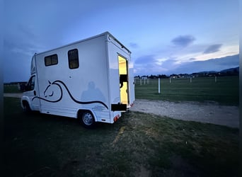 Citroën Jumper Pferdetransporter | nur 4.000 km | BJ 10/2021 | keine NOVA | 3,5 t | 120 kW | Euro 6!