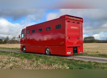 Pferdetransporter Wohnmobil MAN TGA 380PS 6 Pferde lkw Horsetruck Horsecamion Paardenvrachtwagen