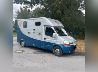 Renault Master II - Stallion Prospectus