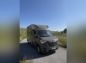 Trasporto cavalli Renault Master, nuovo allestimento con 5 posti, adatto per stalloni