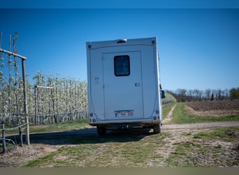 FIAT - DUCATO (2020)