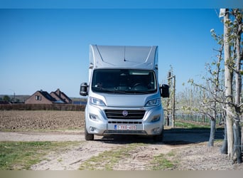 FIAT - DUCATO (2020)