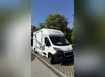 Furgone per trasporto cavalli da 3,5 tonnellate