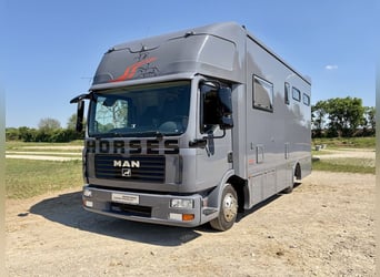 MAN TGL 8.180 camion pour le transport de chevaux, capacité 4 chevaux, cabine résidentielle, boîte a