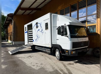 Mercedes Benz 817 eco power 4 Pferdetransporter