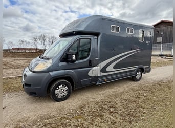 Peugeot Boxer Equitrek Sonic trasporto per 2 cavalli, veicolo commerciale usato in conto vendita
