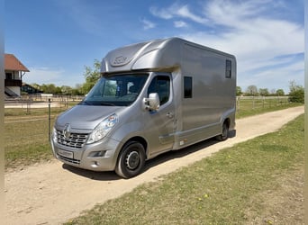 Renault Master EQUITA trasporto cavalli per 2 cavalli, 5 posti, automatico - Veicolo usato