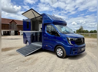Renault Master RJH Sport trasportatore per 2 cavalli – nuovo modello con cambio automatico – disponi