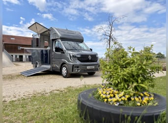 Renault Master RJH Sport Trasportatore per 2 cavalli – nuovo modello con cambio automatico – disponi