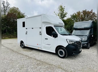 Renault Roelofsen Yorse, trasporto 2 cavalli, 3,5 tonnellate, 165 CV, cambio manuale, senza pedaggio