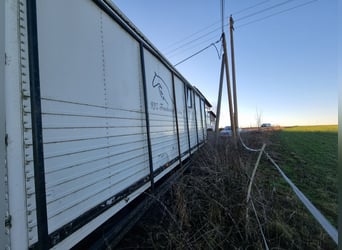 Trasportatore per cavalli MAN con tenda stalla