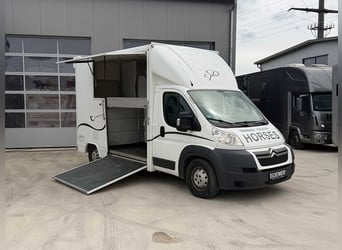 Trasporto animali Citroën con soli 29.200 km, camion per il trasporto di bestiame e animali, veicolo