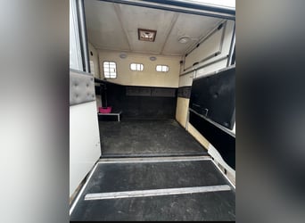 Trasporto cavalli 3,5 t Peugeot Boxer con soli 116.200 km percorsi
