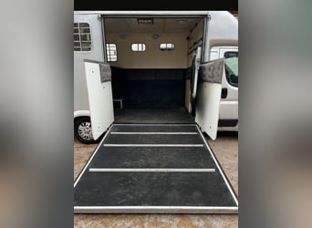 Trasporto cavalli 3,5 t Peugeot Boxer con soli 116.200 km percorsi