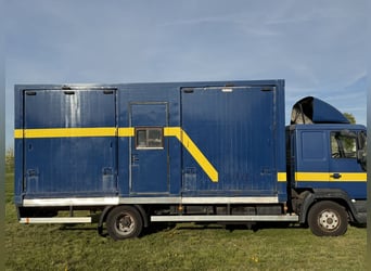 Trasporto cavalli MAN fino a 7,5 tonnellate per 4 cavalli